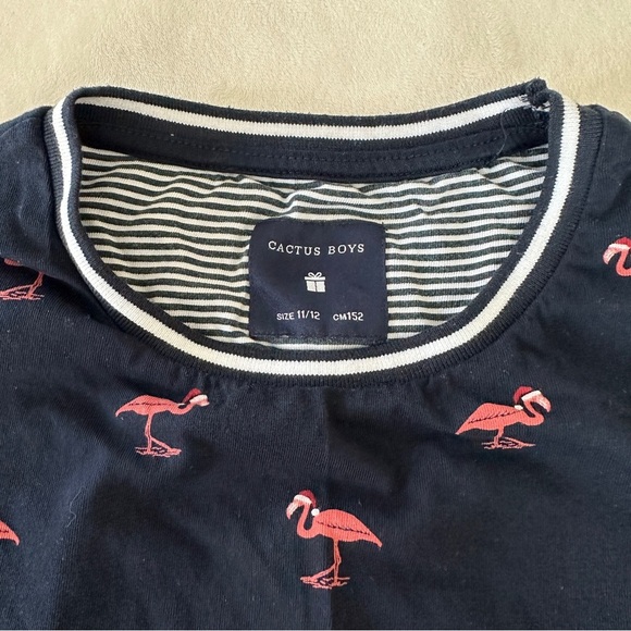 Cactus Boys Christmas Flamingo T-Shirt Navy Blue Size 11/12 Holiday Santa Hat - Picture 3 of 7